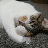 みかん2818 会員画像
