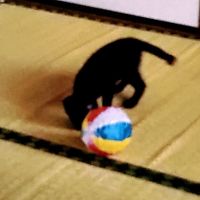 会員画像
