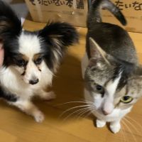 かえでさく 会員画像