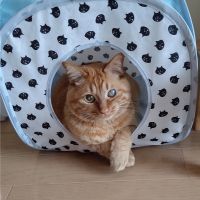 つぶぽん 会員画像