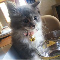 みさま 会員画像