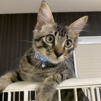 りなママ19さん