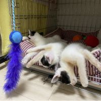 ねぎすけ 会員画像