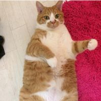 もどりんさん