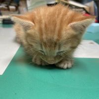 モグミン 会員画像