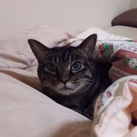 2号君 会員画像