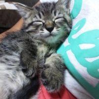 ゆいゆか 会員画像