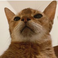 るどわか 会員画像