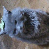 えだまめ 会員画像