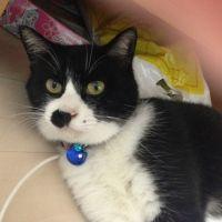 りんタン 会員画像