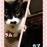 あやぽんず 会員画像