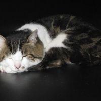 kazesky 会員画像