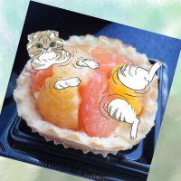 まぁたんにゃん娘。 会員画像