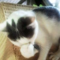 のるさん 会員画像