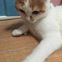 あやちゃん1218 会員画像