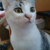 Sa3Sa3 会員画像