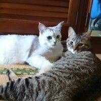 るきあさん 会員画像