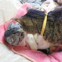ひゅんた 会員画像