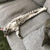会員画像