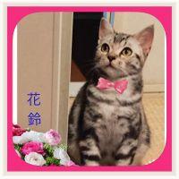 こなつ♪ 会員画像