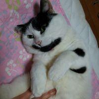やぎこ 会員画像