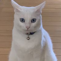 noah86 会員画像