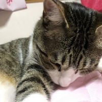 きぃこ135 会員画像