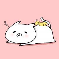SAKAMOTOsさん