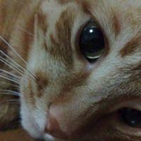 会員画像