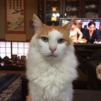 ハエバルミロ 会員画像