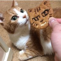 はぎさん 会員画像