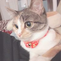 会員画像