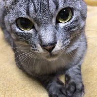 ののぶ 会員画像