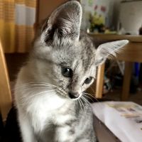 かめぷー 会員画像