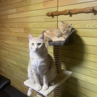 えいたんた 会員画像
