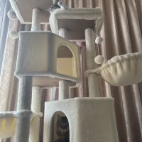 ぬたお 会員画像
