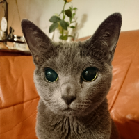 会員画像