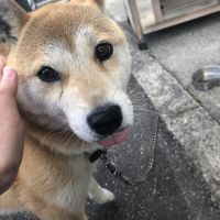 会員画像