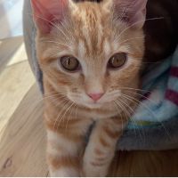 リュータ 会員画像