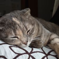 たうこ 会員画像