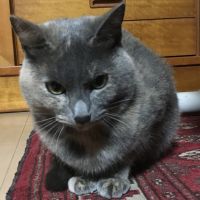 のりこう 会員画像