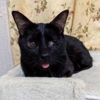 はる　たろうさん