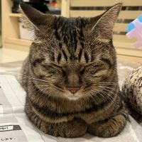 ろまちか 会員画像