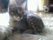 たんたん 会員画像