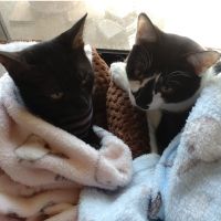 カノン2023 会員画像