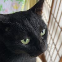 たまいち2210 会員画像