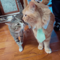 ゆっきー1022 会員画像