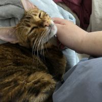 うめくもさん
