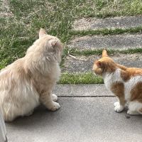 ユミクラゲさん