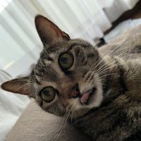 会員画像